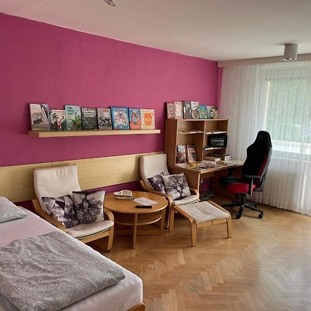 Апартаменти Ubytovani V Soukromi S Infrasaunou, Bezeckym Pasem A Cyklotrenazerem Єсеник Екстер'єр фото
